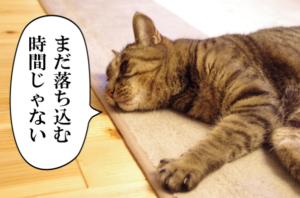 パートを辞めたいと思った時の気休めネタ帳 面接担当 モフジマ パート求人採用の本音