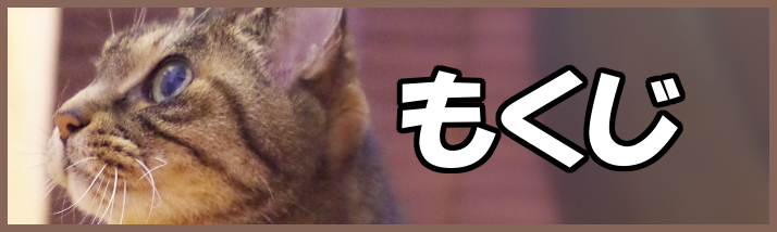 パート主婦の面接に行くときのカバンや靴の選び方 おすすめ 面接担当 モフジマ パート求人採用の本音